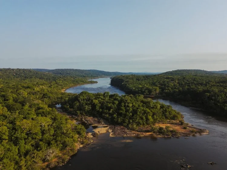 Divulgação Systemica