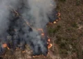 Dados de desmatamento e focos de calor mostram cenário complexo