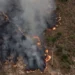 Dados de desmatamento e focos de calor mostram cenário complexo
