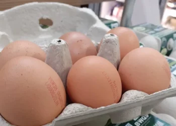 Ministério da Agricultura determina carimbo de validade em ovos