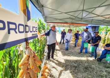 Vendas diretas no agro devem dobrar em 2025