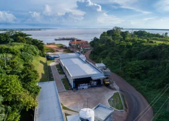 Frooty mantém liderança com mais de 40% das vendas no mercado de açaí