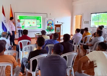 Aplicativo criado no Brasil ajudará agricultores familiares no Paraguai