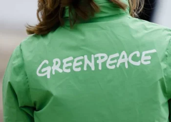 Greenpeace corre risco de falência e enfrenta processo