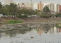 Pesquisa aponta descarte de toneladas de lixo nos rios de SP todos os dias