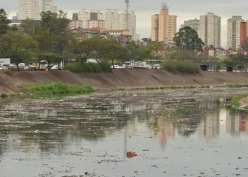 Pesquisa aponta descarte de toneladas de lixo nos rios de SP todos os dias