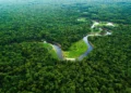Hub de Inovação Climática seleciona 15 startups da Amazônia