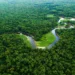 Hub de Inovação Climática seleciona 15 startups da Amazônia