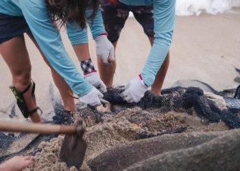 Projeto reutiliza redes de pesca descartadas e impulsiona economia circular