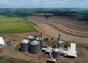 AgroGalaxy retoma operação de recebimento de grãos no Paraná