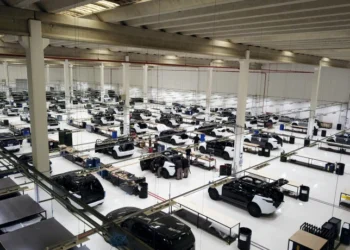 CARBON projeta crescimento de 20% e reforça liderança global 