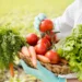 Demanda por alimentos deve superar produção até 2050