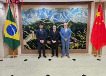 Brasil e China discutem cooperação no setor de bioinsumos