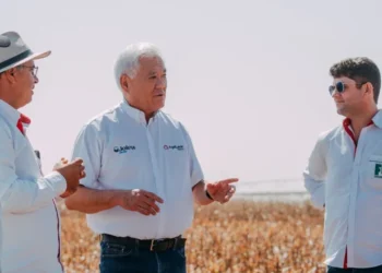 Tecnologia renasce no Brasil para controlar plantas daninhas resistentes