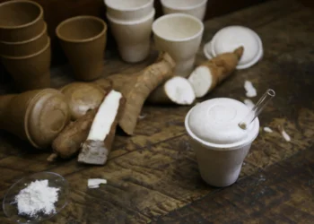 Startup produz embalagens com insumos da biodiversidade amazônica