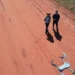 Drone se torna facilitador do trabalho de campo na ciência