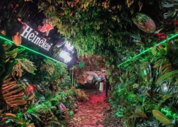 Grupo Heineken amplia investimentos em restauração florestal 