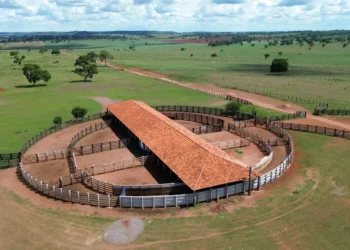 Aquisições bilionárias aquecem a procura por terras agrícolas 
