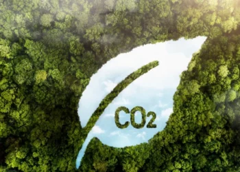 ENGIE Brasil Energia inova ao remunerar BV com créditos de carbono