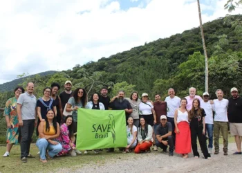 SAVE Brasil celebra 20 anos de conservação das aves e da biodiversidade