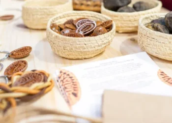 Plataforma conecta consumidores a negócios da floresta 