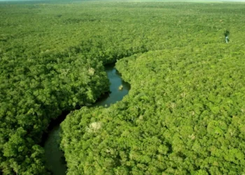 Agência BNDES e Fundo Clima