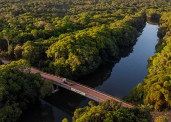 Agropalma reafirma compromisso com práticas de desmatamento zero