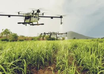 Ciberataques podem ameaçar avanço tecnológico no agronegócio brasileiro