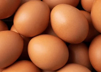Doença de Newcastle desafia exportações de ovos e reforça papel da vacinação preventiva