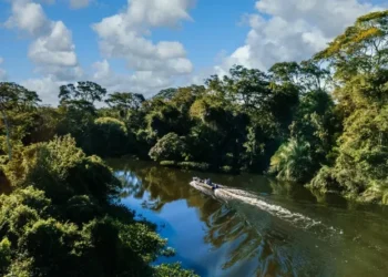 Dois pesos e duas medidas