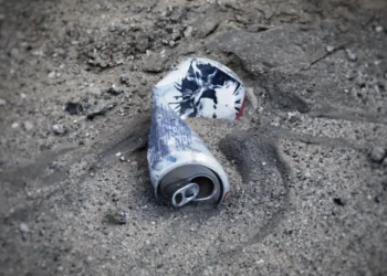 Brasil capacita base municipal em gestão de meio ambiente