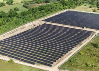 Erco Energia se une à Endeavor para impulsionar energia limpa