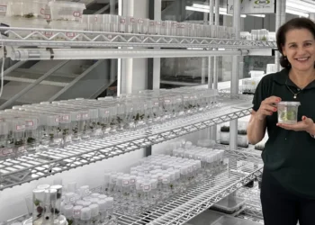 IVGTech é uma das cinco startups selecionadas para o Restoration ClimAccelerator