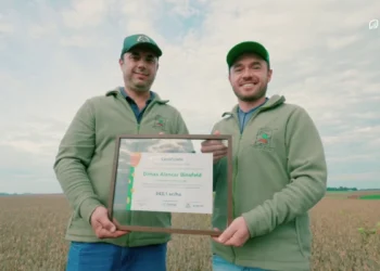 Recordes marcam o concurso de produtividade do milho verão/25