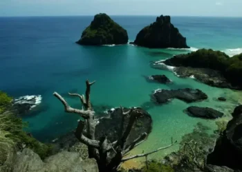 BNDES lança chamada permanente para proteção de ilhas marinhas 