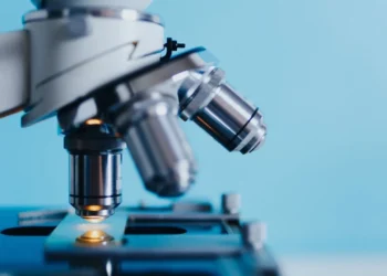 Conselhos científicos tornam empresas até 2x mais inovadoras, aponta estudo