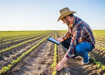 Tecnologia ajuda produtor a economizar com decisões mais assertivas