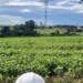 ENGIE Brasil Energia inova com investimento em drones