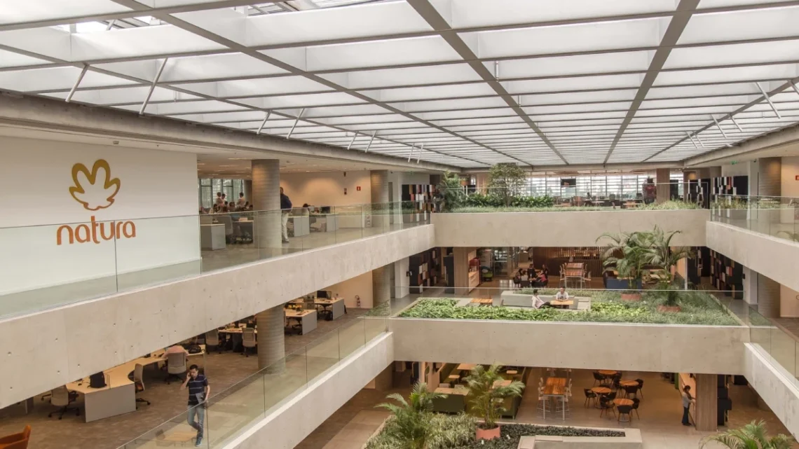 Natura e Oxford se unem em uma collab para formação de liderança regenerativa