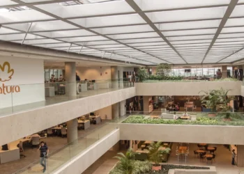 Natura e Oxford se unem em uma collab para formação de liderança regenerativa