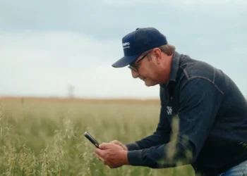 Monitoramento inteligente gera ganhos de produtividade em fazendas