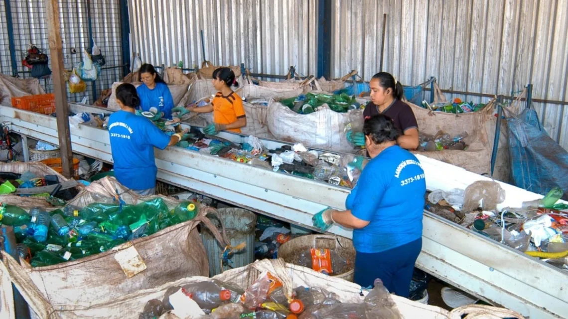 Brasil recicla 410 mil toneladas de embalagens pets