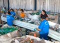 Brasil recicla 410 mil toneladas de embalagens pets