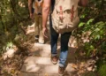 Segurança nas trilhas: 6 cuidados essenciais para uma aventura consciente