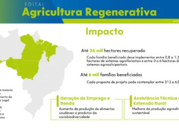 Caixa lança edital que destina R$ 50 milhões para recuperar áreas degradadas e apoiar a agricultura regenerativa