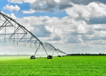 Paraná tem investido para ampliar o número de projetos de irrigação para produtores rurais em meio a seca e perdas de safra