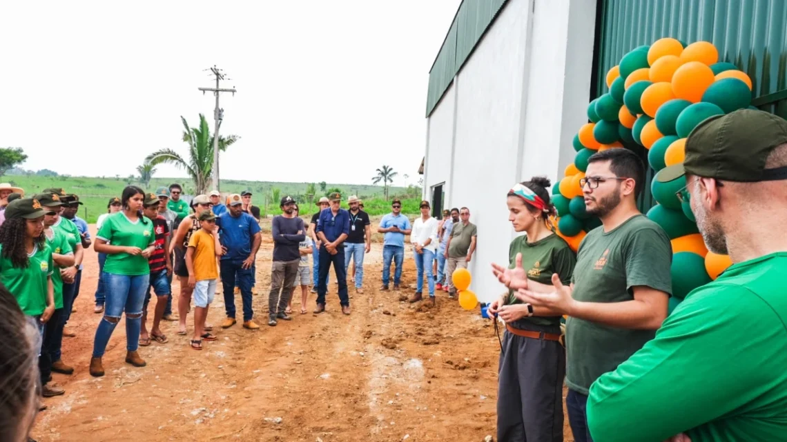 Café amazônico conquista espaço no cenário nacional com produção sustentável e de qualidade em Apuí