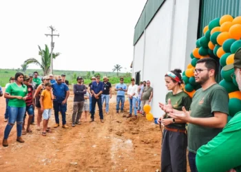 Café amazônico conquista espaço no cenário nacional com produção sustentável e de qualidade em Apuí