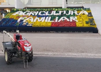 Plano Safra: Agritech espera impacto positivo nas vendas para pequenos produtores