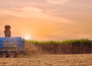 Digitalização no campo transforma o setor sucroalcooleiro
